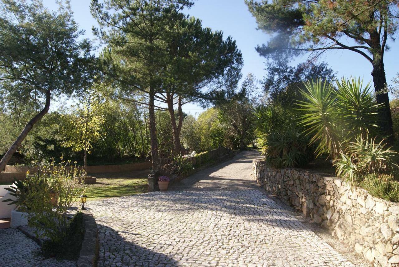 Casa Do Vale Villa Sao Pedro de Tomar Exterior foto