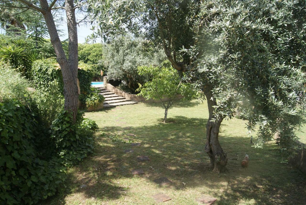 Casa Do Vale Villa Sao Pedro de Tomar Exterior foto