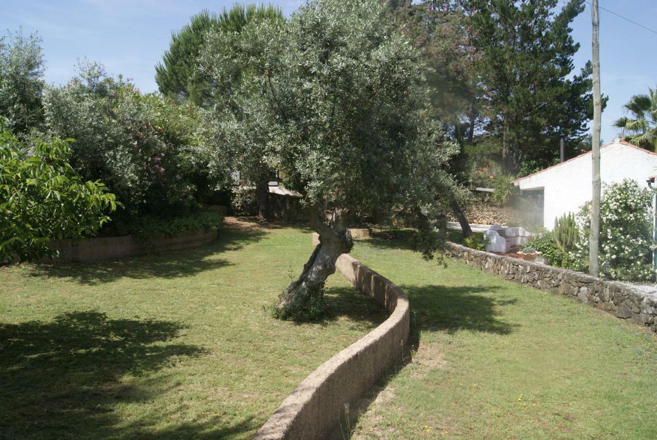 Casa Do Vale Villa Sao Pedro de Tomar Exterior foto